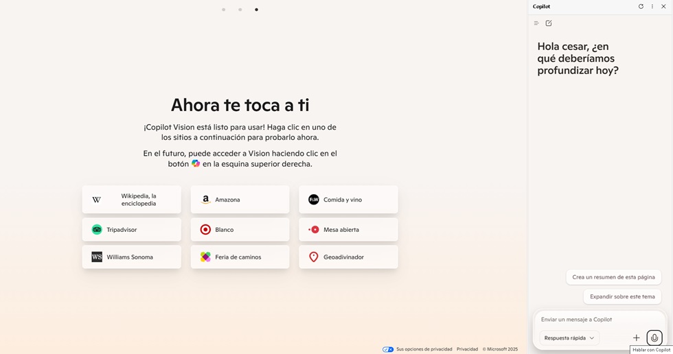 CÓMO ACTIVAR COPILOT VISION PASO A PASO 1