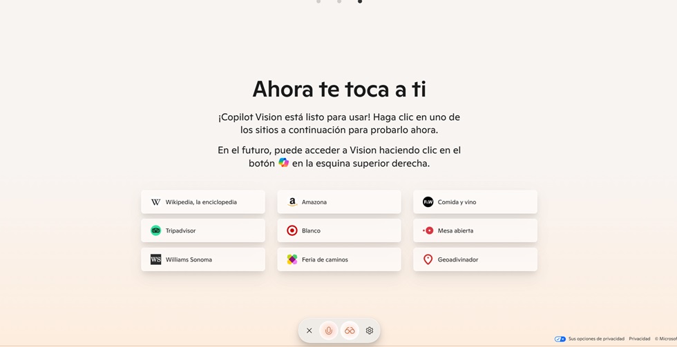 CÓMO ACTIVAR COPILOT VISION PASO A PASO 2