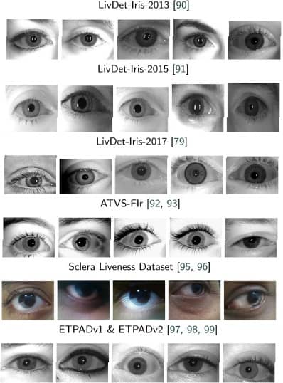 biometry eye iris recognition